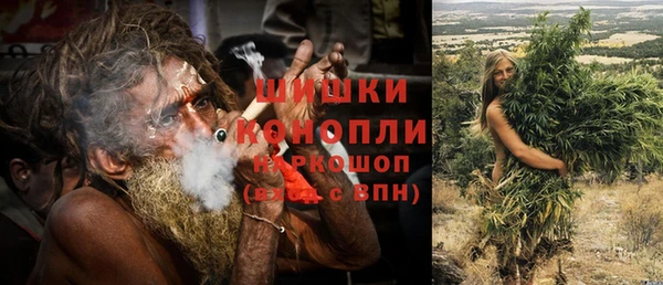 ГАЛЛЮЦИНОГЕННЫЕ ГРИБЫ Баксан