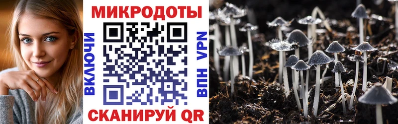 Купить закладки  Олёкминск  Псилоцибиновые грибы Magic Shrooms 